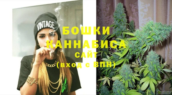 индика Ладушкин