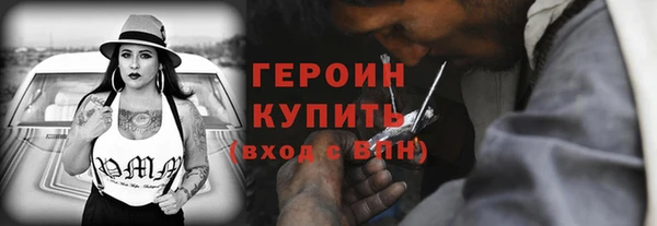 индика Ладушкин