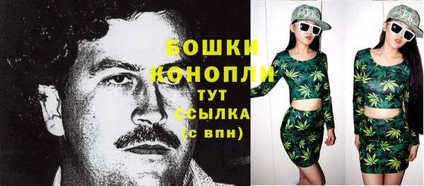 spice Краснослободск
