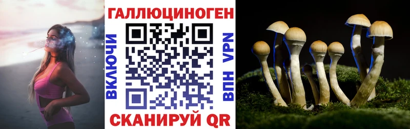 Галлюциногенные грибы мицелий  Михайловск 